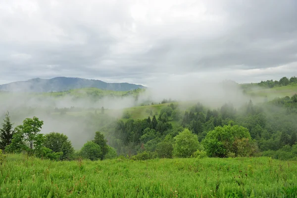 Paisaje con niebla en las montañas —  Fotos de Stock