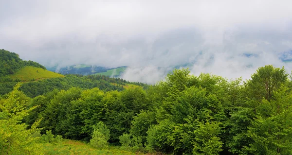 Krajina s mlha v horách — Stock fotografie