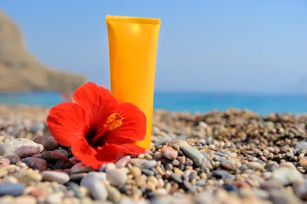 Stack av småsten, grädde och blomma på stranden — Stockfoto