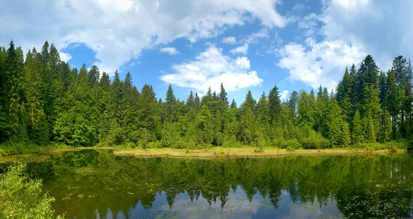 Forest Lake — Stock Photo, Image