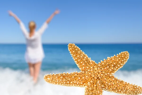 Starfish — Stock Photo, Image