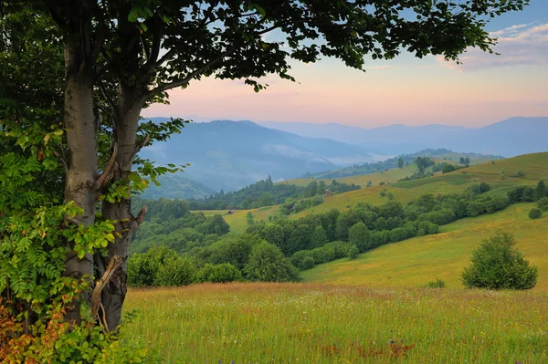 Día soleado en el paisaje de montaña — Foto de Stock