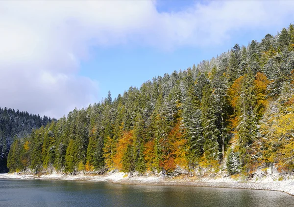 Première neige dans la forêt dans les montagnes — Photo