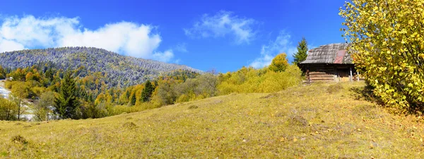 Ilk karın içinde orman Dağları — Stok fotoğraf