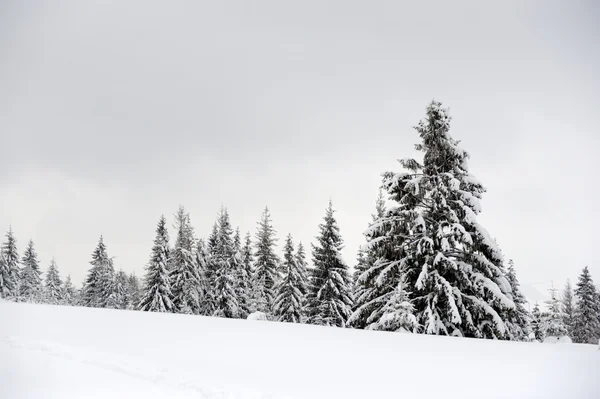 Paisaje invierno — Foto de Stock