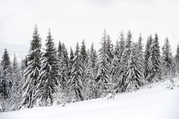 Paesaggio invernale — Foto Stock