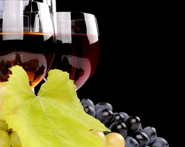 Szőlő és bor az üveg ága — Stock Fotó