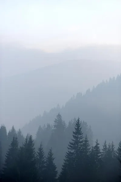 Montagne con alberi e nebbia — Foto Stock