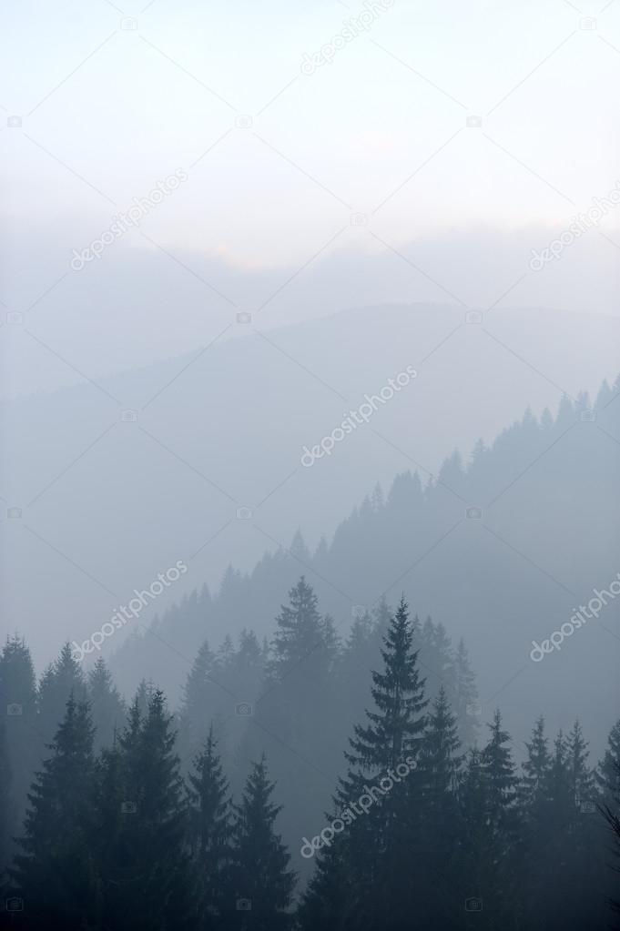 Mountains with trees and fog
