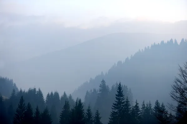 Горы с деревьями и туманом — стоковое фото