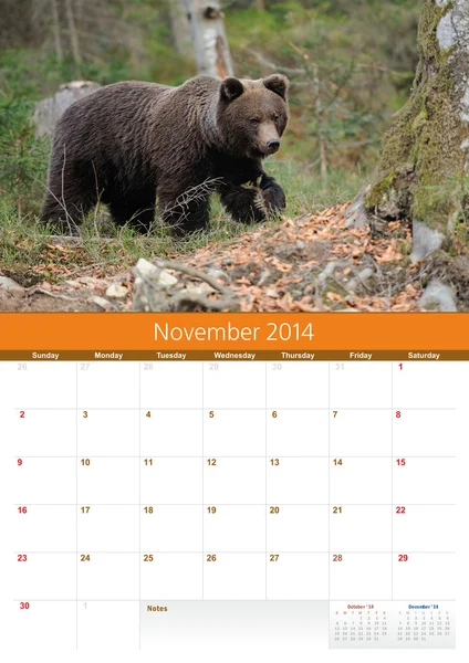 Calendario 2014. Noviembre. Oso. — Foto de Stock