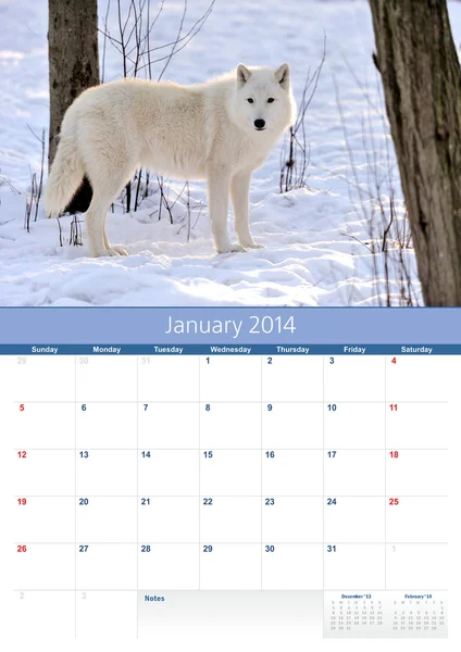 Kalender 2014. januari. Poolwolf — Stockfoto