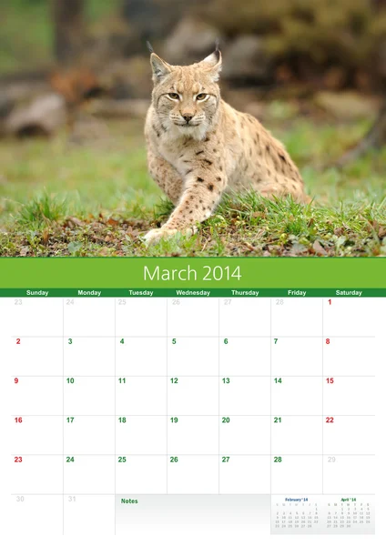 Kalendář 2014. březen. Lynx — Stock fotografie