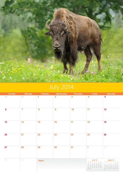 Kalender 2014. juli. bison — Stockfoto