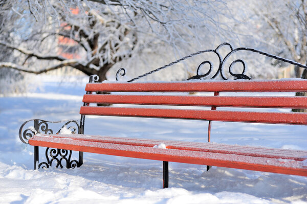 Bench in winter park, snow falls, outdoor