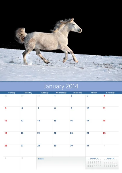 Kalender 2014. paard. januari — Stockfoto