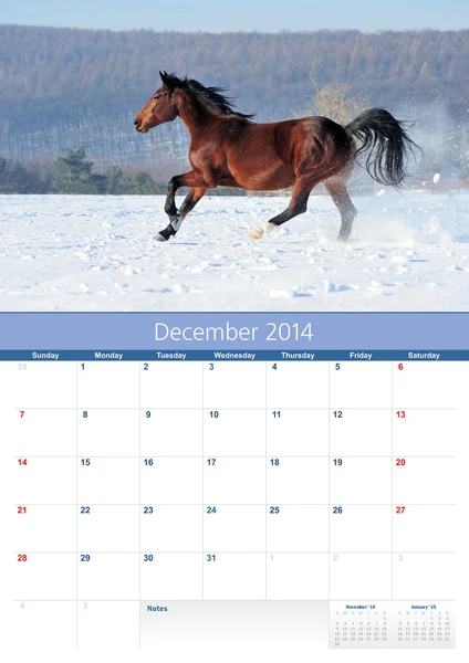 Calendario 2014. Caballo. Diciembre — Foto de Stock