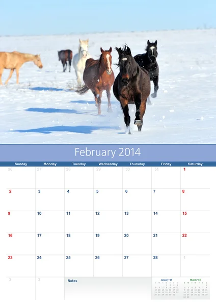 Kalendář 2014. koně. únor — Stock fotografie