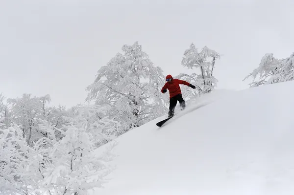 Skifahrer im Freeride — Stockfoto