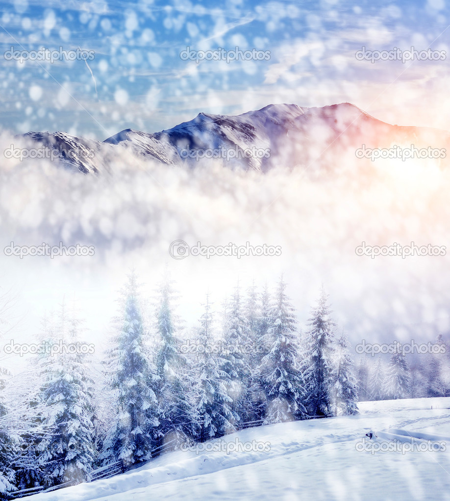 Beautiful winter landscape with snow covered trees