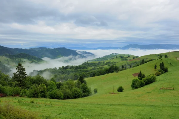 Berglandschaft — Stockfoto