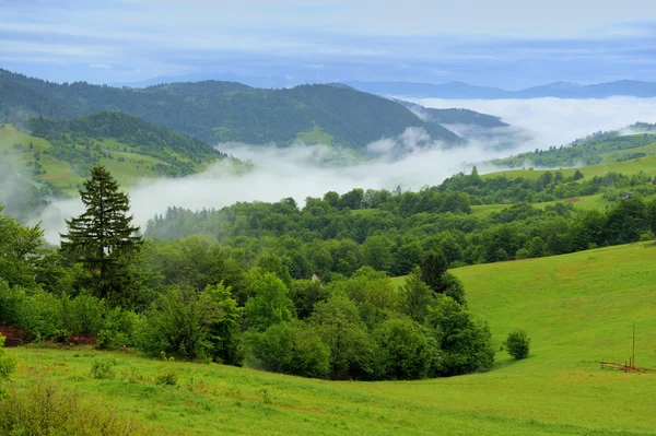 Paesaggio montano — Foto Stock