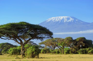 Kilimanjaro clipart