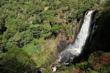 Thomson'ın falls, kenya