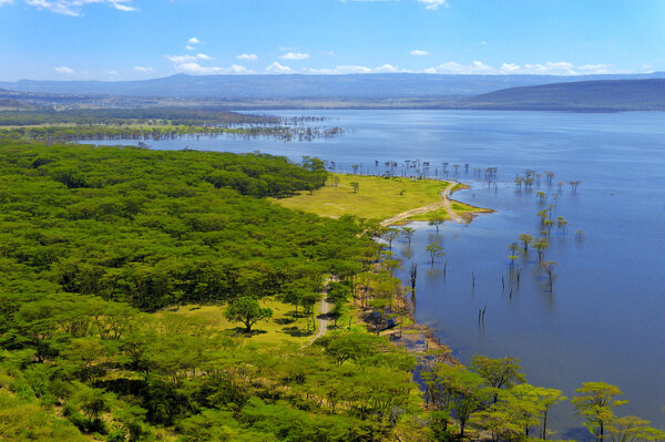 African landscape, bird's-eye view on lake Nakuru