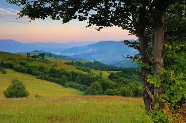 Día soleado en el paisaje de montaña — Foto de Stock