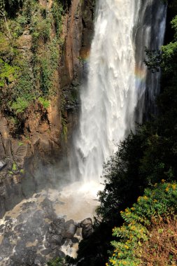 Thomson'ın falls, kenya