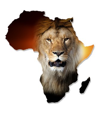 Afrika yaban hayatı harita tasarım
