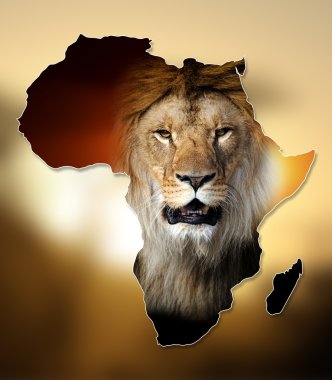 Afrika yaban hayatı harita tasarım