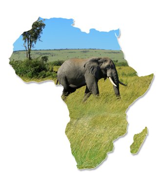 Afrika yaban hayatı harita tasarım