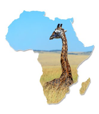 Afrika yaban hayatı harita tasarım