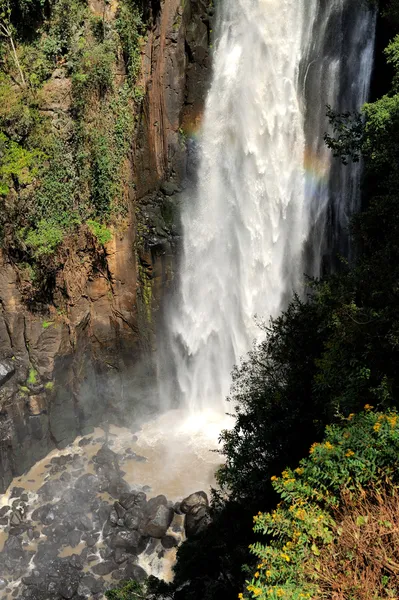 Cascate di Thomson, Kenya — Foto Stock