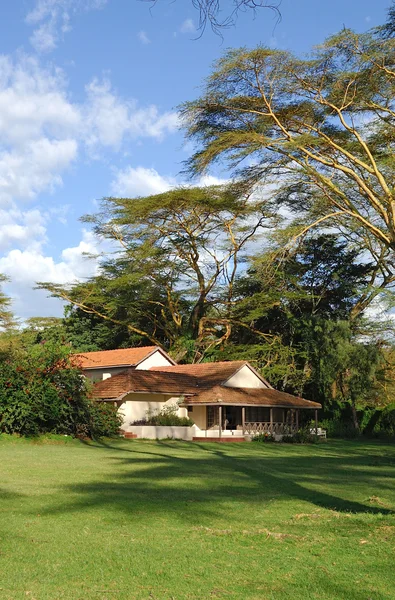 Toeristische resort in een bos — Stockfoto