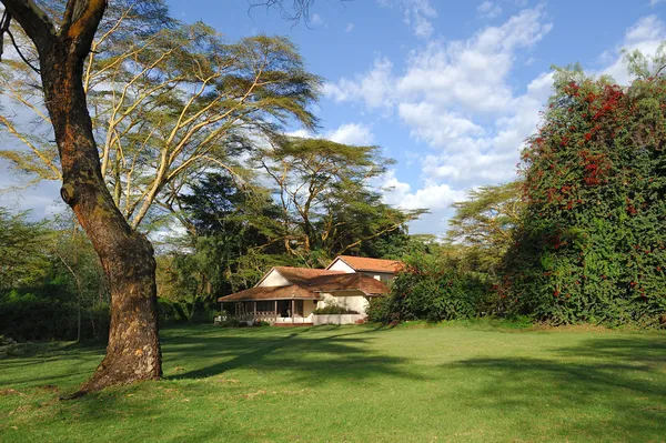 Tourist resort in a woods — Stock Photo, Image