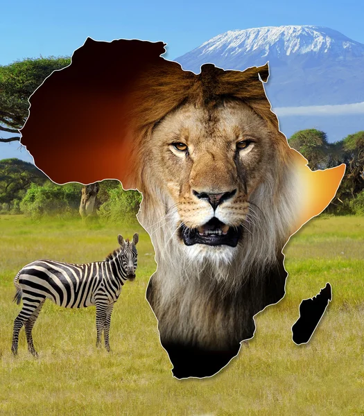 África Wildlife Map Design — Fotografia de Stock