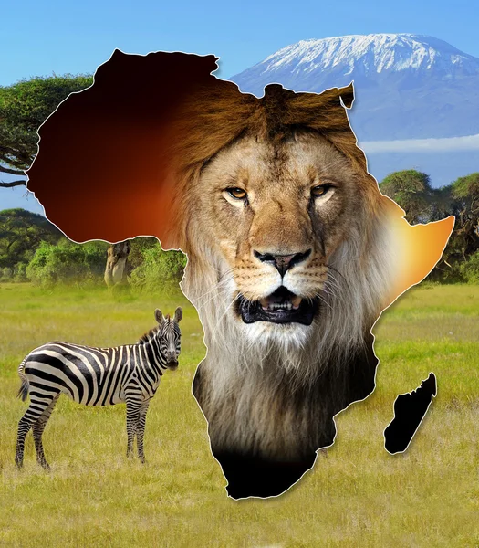 Afrika yaban hayatı harita tasarım