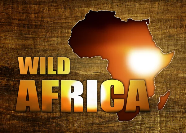 Africa Wildlife Mappa Design — Foto Stock