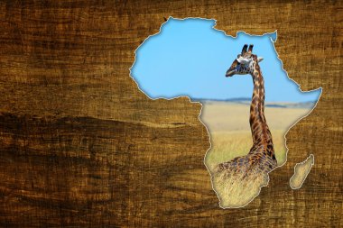 Afrika yaban hayatı harita tasarım