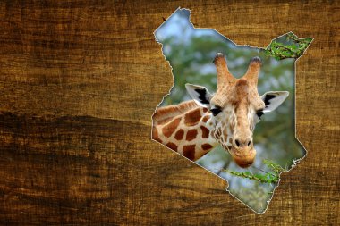 Kenya Wildlife Map Design clipart
