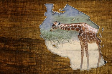 Tanzania Wildlife Map Design clipart