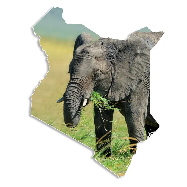 Kenya mappa con elefante — Foto Stock