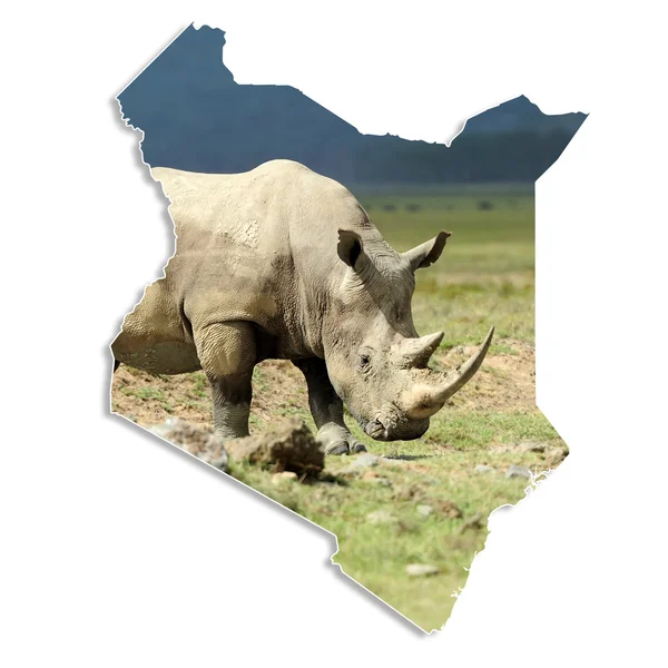 Kenya map with rhino — Stock Photo, Image