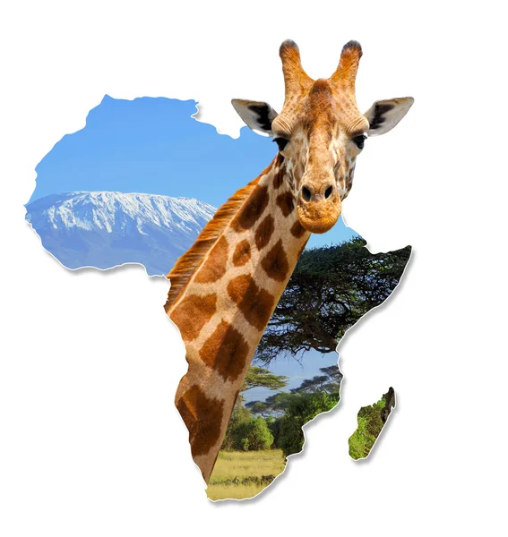 Африка дикої карту дизайн — стокове фото