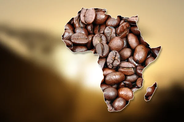 Continente africano fatto con chicchi di caffè — Foto Stock