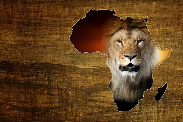 Africa Wildlife Mappa Design — Foto Stock