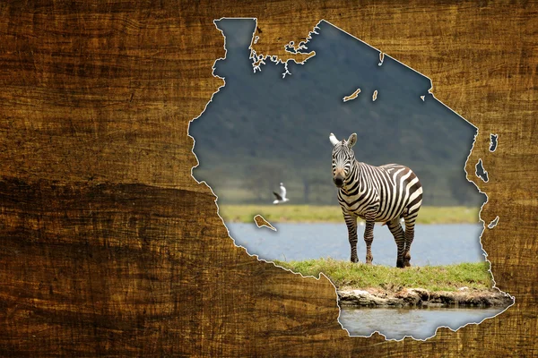 Tanzania wildlife karta design — Stockfoto